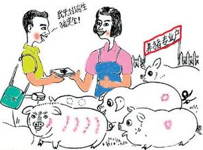缓解行情低迷养殖户压力 创新农险产品保障生猪养殖